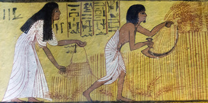 Book talk - Yearning for Immortality: The European Invention of the Ancient Egyptian Afterlife