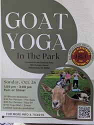Goat Yoga in Dimmick Park