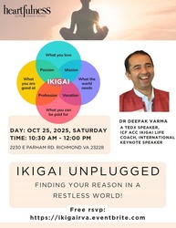 IKIGAI UNPLUGGED
