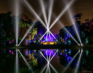 NightGarden at Fairchild Tropical Botanic Garden