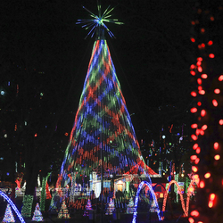 Rhema Christmas Lights