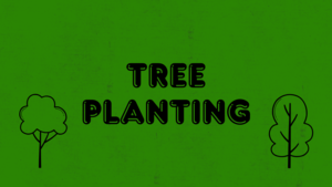 Tree Planting