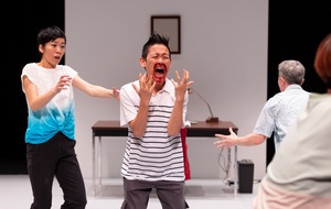 Aya Ogawa | The Nosebleed