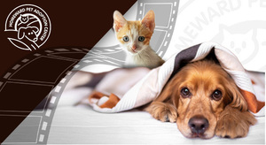 I'm Grateful for my Pet Photo Contest and Fundraiser