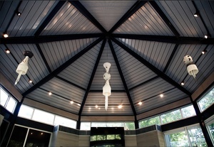 Insights: Terra Goolsby