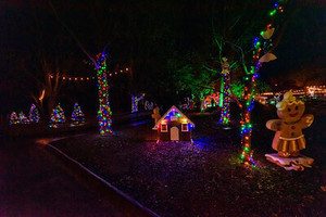 Holiday Lights Drive -Through at Grant's Farm 2025