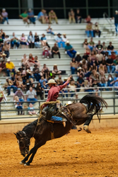 Ancient City Pro Rodeo and Family Festival