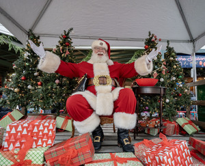 30th Annual Magic in the Market