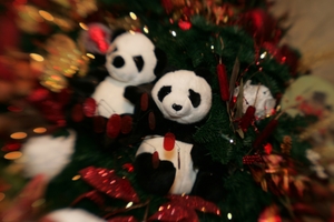 41ST ANNUAL PROVIDENCE O’CHRISTMAS TREES CELEBRATION – GALA DINNER AND AUCTION