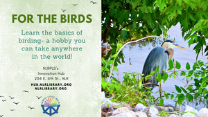FREE Class: For the Birds - Learn the basics of birding, a hobby you can take anywhere in the world!