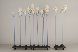 Lauren Grossman | Talk Show