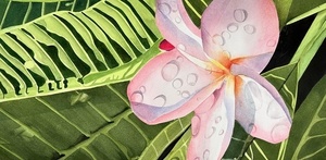 Watercolor Classes - Advanced Beginners - Fort Myers Beach Art Association