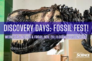 Discovery Days: Fossil Fest