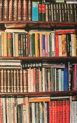 Weston Library Booksale Nov. 7-9