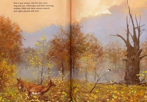 Nature Book and Look