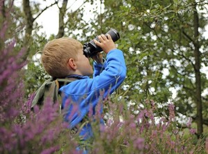Preschool Explorers: Birds and Binoculars