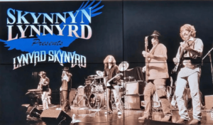 Skynnyn Lynnyrd