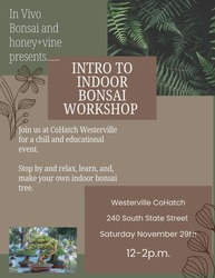 Intro to Indoor Bonsai Workshop with honey+vine