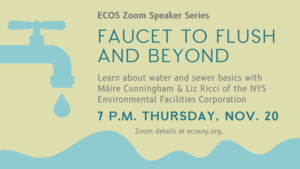 Zoom Speaker Series: Faucet to Flush and Beyond