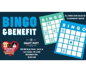 Craft Putt Bingo