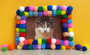 Picture Perfect Pom-Poms