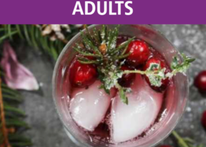 Winter Botanical Mocktails