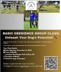 Basic Obedience Group Class | Brentlinger Park