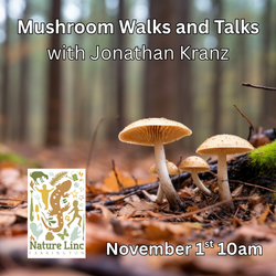 Mushroom Walks and Talks with Jonathan Kranz