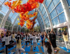 Chihuly Garden and Glass: Yoga in the Glasshouse