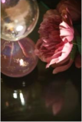 Photography: Reflections