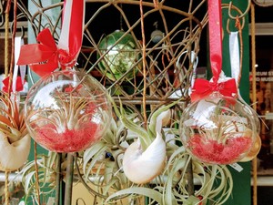 Annual Holiday Horticulture Garden Class