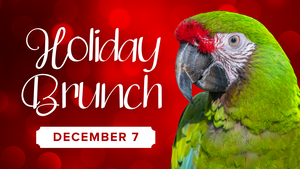 Holiday Brunch with Santa Claus at Brevard Zoo