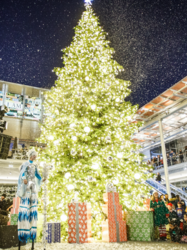 Holiday Tree Lighting Ceremony