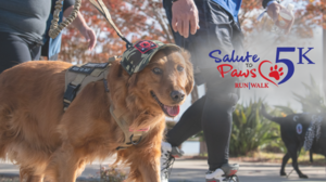 Shelter to Soldier 2nd Annual Salute to Paws 5k & Gratitude Festival for Dogs