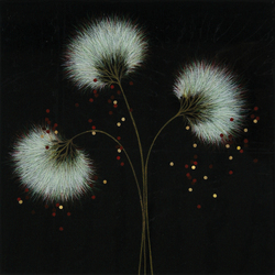 "Echoes" by Seiko Tachibana