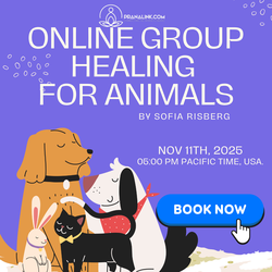 Online Group Healing for Animals