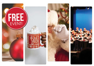 27th Annual Tree Lighting and Holiday Performances - Free Community Event