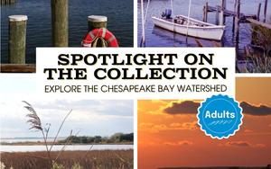 Spotlight on the Collection: Explore the Chesapeake Bay Watershed