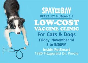 Low-Cost Community Vaccine Clinic for Dogs and Cats