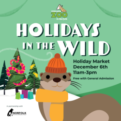Holidays in the Wild: Holiday Market
