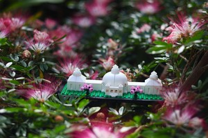 Bricks and Brews at the Botanical Gardens