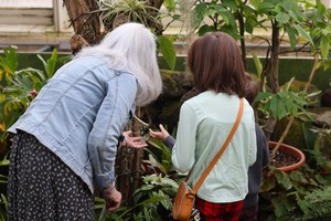 Kids Day at the Botanical Gardens | Kids 12 and under are free!