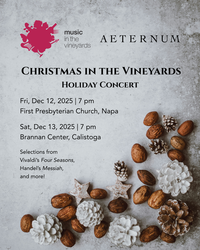 Christmas in the Vineyards