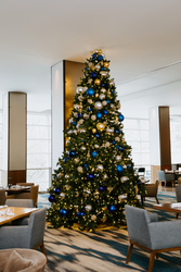 Holiday Tree Lighting @ JB Duke Hotel