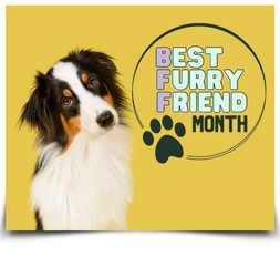 Paws & Pages Storytime