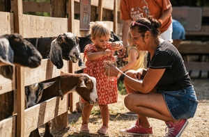 Fall on the Farm, BONUS WEEKEND!