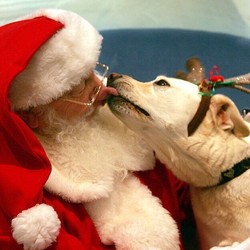 VALENCIA TOWN CENTER TO HOST ‘SANTA PAWS’ PHOTO NIGHTS