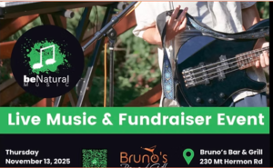 Be Natural Music Fundraiser!