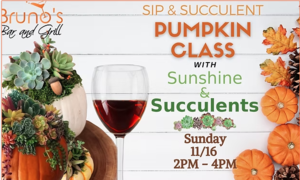 Fall Succulent Pumpkin Class