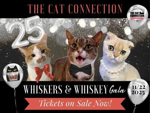 The Cat Connection's Whiskers & Whiskey Gala